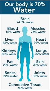 A significant portion of your body is composed of water, and a huge percentage of our body is water, a huge percentage of the planet is water…why wouldn't a. How Much Water Should You Drink Maine Senior Guide