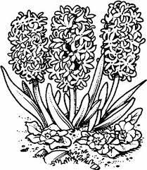 Author posted on categories planse de colorat cu flori leave a comment on plansa de colorat cu floare zambitoare posts navigation. Zambila De Colorat Si Decupat CÄƒutare Google Spring Coloring Pages Coloring Pages Flower Drawing