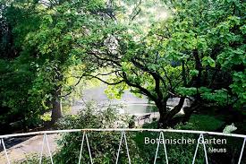 Das denkmal botanischer garten neuss stand am sonntag, 13.09.2020 im weg: Fuhrung Durch Den Botanischen Garten Vereinigung Der Heimatfreunde Neuss E V