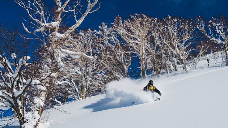 Japow - the snow that needs no introduction | Basecamp Tours