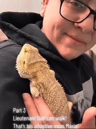 Bearded Dragon Is Set to Be Euthanized Because He Lost His Legs, Instead,  He Gets Adopted and Is Living His Best Worm-Filled Life