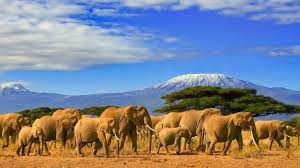 Tanzania, east african country situated just south of the equator. Tanzania United States Department Of State
