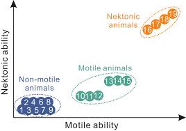 When two genetically created dinosaurs end up on the loose, it's up to a team of rag tag mercenaries to capture them. Decoupled Taxonomic And Ecological Recoveries From The Permo Triassic Extinction Science Advances