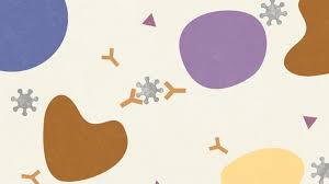 Four Scenarios On How We Might Develop Immunity To Covid 19