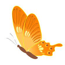 With tenor, maker of gif keyboard, add popular transparent butterfly gif animated gifs to your conversations. Aesthetic Butterfly Gif Largest Wallpaper Portal