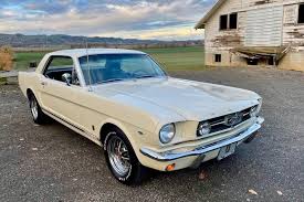 Image result for Phoenician Yellow 1965 Mustang