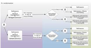 Image result for Alcoholism Management