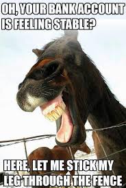 Well That Didn T Last Long Horse Jokes Funny Horse Memes Horse Quotes Funny