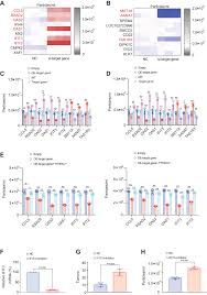 Downregulation of the m6A reader YTHDC2 upregulates exosome content in lung  adenocarcinoma via inhibiting IFIT and OAS family members - Journal of  Biological Chemistry
