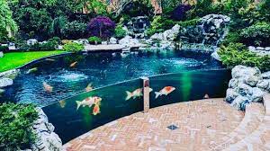 Beautiful koi pond design ideas koi pond design koi fish pond pond fish pond, backyard garden fish city garden: The Most Beautiful Backyard Fish Ponds In The World Youtube