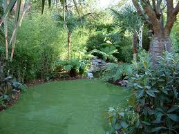 Tropischer Garten Tropisches Gartendesign London Von Urban Tropics Garten Gartendesign London Tropical Garden Design Garden Design London Garden Design