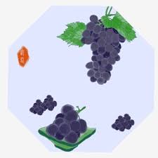 95 gambar motor drag dari pencil terlengkap ranting modifikasi via jangan lupa simak juga gambar terupdate dari kita 82 gambar sketsa anggur terlengkap. 91 Gambar Anggur Yang Mudah Digambar Hd Gambar Pixabay