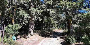 The forest there is designated as a protected habitat for many unique greek flora and fauna. A Day Trip To The Former Royal Estate At Tatoi Exploring Greece Tv