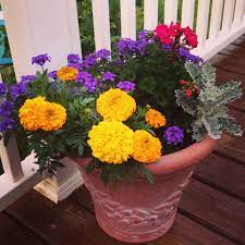 Pin On Planters