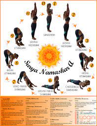 Surya namaskar, salute to the sun or sun salutation, is a practice in yoga as exercise incorporating a flow sequence of some twelve gracefully linked asanas. Surya Namaskar A Sanskrit Diagram Yoga Asanas Vinyasa Yoga Yoga Sun Salutation