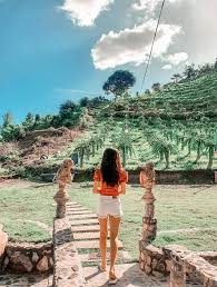 See in google street view amaryllis marketing office. Gravhizfarm Secret Garden Garden Of Peace And Relaxation In Naga City