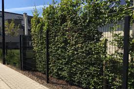 The wire mesh fence is an indispensable part of our life. Wire Fence Panels Different Uses Examples How To