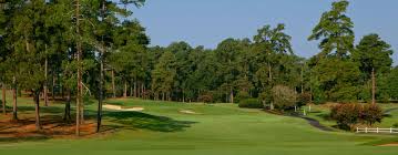 Forest Hills Golf Course All Square Golf