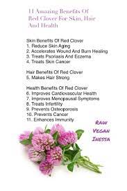 Pin On Herbalist