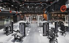 fitness panosundaki pin
