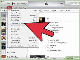 Use file > library > show duplicate items and then click same album to display exact duplicates as this is normally a more useful selection. How To Find And Remove Duplicate Songs In Itunes 6 Steps