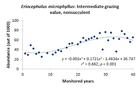Image result for Eriocephalus microphyllus