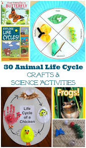 Highlighted, however, is an easy paper plate life cycle of a chicken activity. 30 Life Cycle Activities For Animals Insects Edventures With Kids