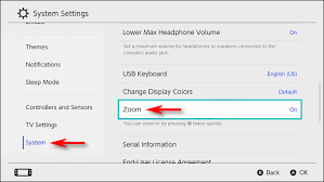 Share all sharing options for: How To Zoom In On The Nintendo Switch While Playing Any Game