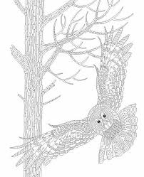Select from 35970 printable coloring pages of cartoons, animals, nature, bible and many more. Relax With Art Relax With Art S Photos Bird Coloring Pages Owl Coloring Pages Fall Coloring Pages