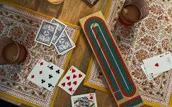 Cribbage Tournament @ The Genny Albany