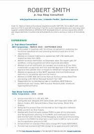 Free 7 sample business analyst resume templates in pdf ms word. Consultante Sap Abap Anciens Et Reunions