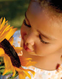 Silencing the Violence