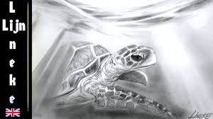 Ink and shades 109 views6 months ago. Easy Sea Turtle For Beginners Graphite Drawing Youtube