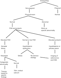 Amenorrhea An Overview Sciencedirect Topics