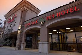 Animal medical center prides itself on being one of the most progressive veterinary hospitals in lubbock. Pet Boarding In Lubbock Tx Live Oak Animal Hospital