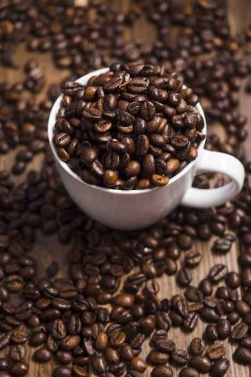 درام‌روستر ایلماز ۳۰ کیلویی