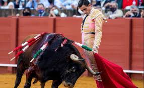 Toros | Paco Ureña reaparece en México después de su grave percance en  Abarán | La Verdad