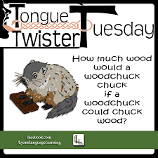 How Much Wood Would A Woodchuck Chuck By Lyonslanguagelearnin Deviantart Com On Deviantart Tongue Twisters Preschool Groundhog Chucks