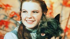 Who Played Toto the Dog in the "Wizard of Oz?"