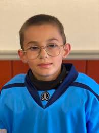 Sweden SHD '10 LGT Blue