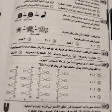 بدأ قبل قليل طلاب الثانوية العامة أداء امتحانات مادتى، الأحياء والاستاتيكا، حيث يؤدى قرابة 393 ألفا الامتحان. 6kj8vnzy8dsxfm