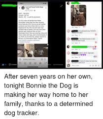 We did not find results for: 706 1 Lost And Found Cattle Dogs Usa April 19 2014 Lost Feb 2012 Female Full Tail Seattle Wa Could Be Anywhere Our Four Year Old Female Blue Heeler Australian Cattle Dog Has Been