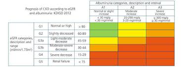 Stroke and chronic kidney disease:epidemiology, pathogenesis, and management across kidney disease stages. Consensus Document On Treatment Of Type 2 Diabetes In Patients With Chronic Kidney Disease Nefrologia