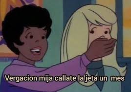 Luis (@ornitorrrrinco)