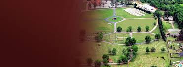 Obituary for Lisa Sue Tolbert