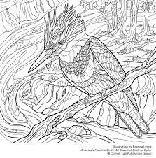 Museum tour, the cornell lab created. Download Your Free Belted Kingfisher Coloring Page