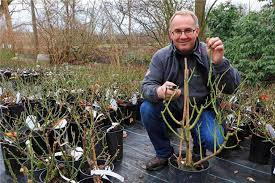 Zeven Wie Man Den Garten Im Fruhling Auf Vorderm