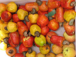 Le Fruit De L Anacardier La Noix De Cajou Burkina Faso Fruits Et Legumes Noix De Cajou Legumes