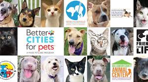Email us at snootygiggles@gmail.com for more information on volunteering, donating, and adopting!!! Sunday S Game Day Reminders Nissan Stadium