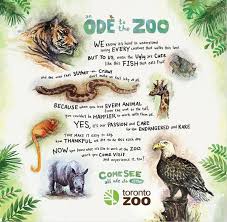 The official account of the toronto zoo, an organization that protects wildlife and wild spaces. Toronto Zoo Media Room